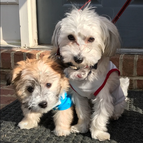 Meet your Posher, Kyle 🤗 - Picture 5 of 7